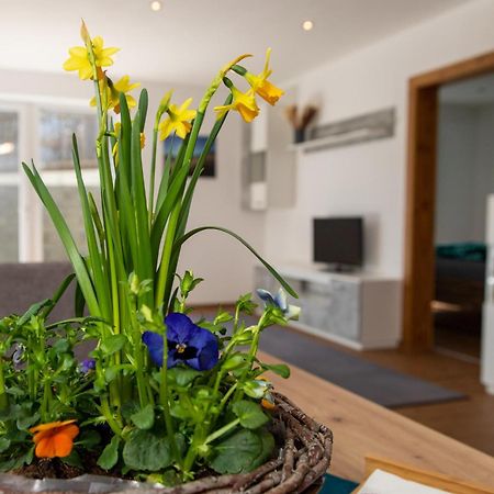 Ferienwohnung Pedit タルレンツ エクステリア 写真