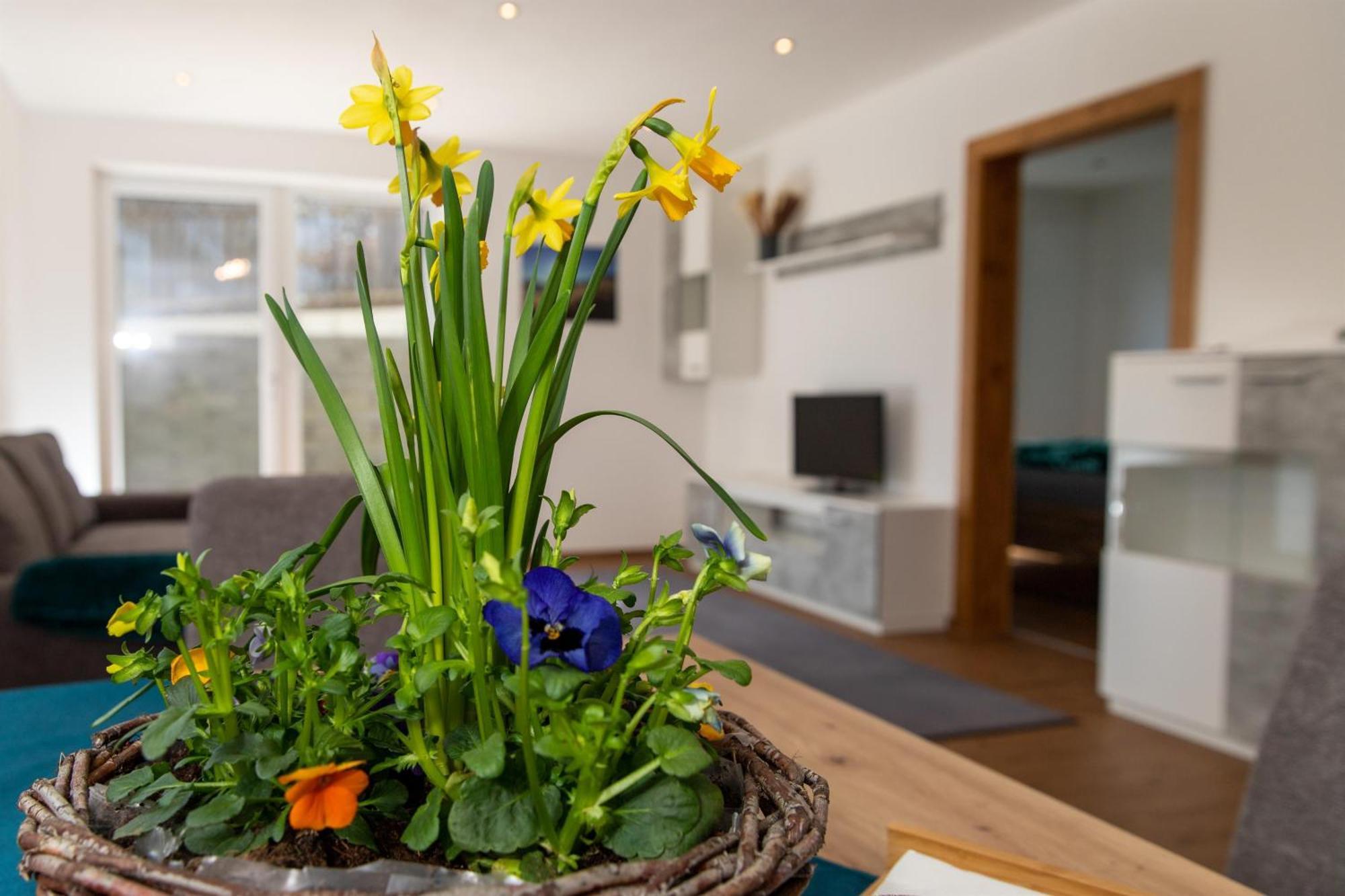 Ferienwohnung Pedit タルレンツ エクステリア 写真